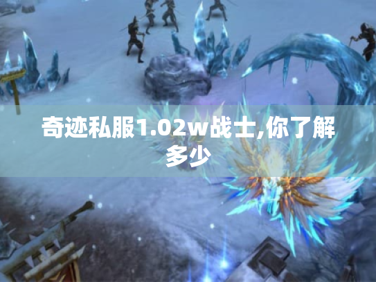 奇迹私服1.02w战士,你了解多少