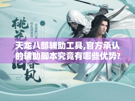 天龙八部辅助工具,官方承认的辅助脚本究竟有哪些优势?