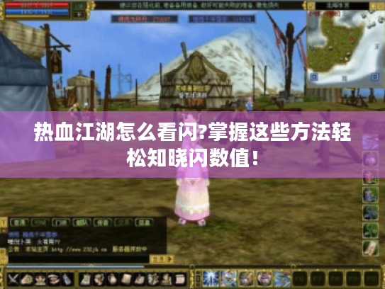 热血江湖怎么看闪?掌握这些方法轻松知晓闪数值！