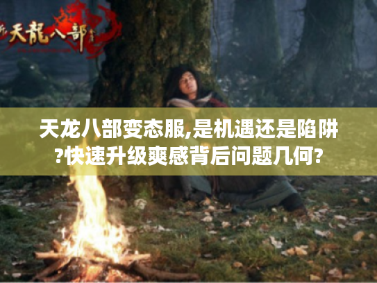 天龙八部变态服,是机遇还是陷阱?快速升级爽感背后问题几何?