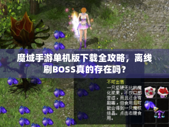 魔域手游单机版下载全攻略，离线刷BOSS真的存在吗？
