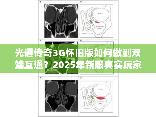 光通传奇3G怀旧版如何做到双端互通？2025年新服真实玩家测评