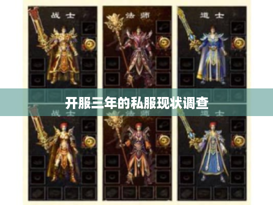 开服三年的私服现状调查