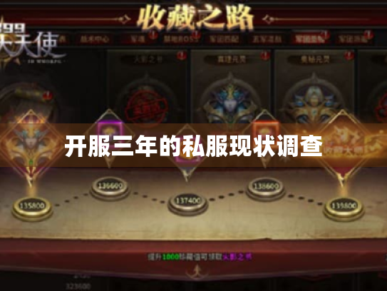 开服三年的私服现状调查