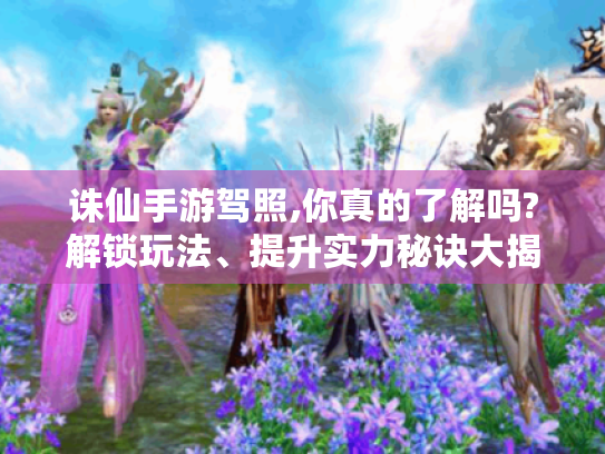 诛仙手游驾照,你真的了解吗?解锁玩法、提升实力秘诀大揭秘！