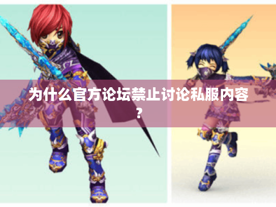 为什么官方论坛禁止讨论私服内容？