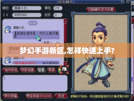 梦幻手游新区,怎样快速上手?