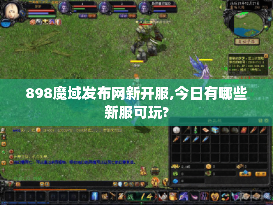 898魔域发布网新开服,今日有哪些新服可玩?