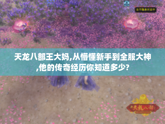 天龙八部王大妈,从懵懂新手到全服大神,他的传奇经历你知道多少?