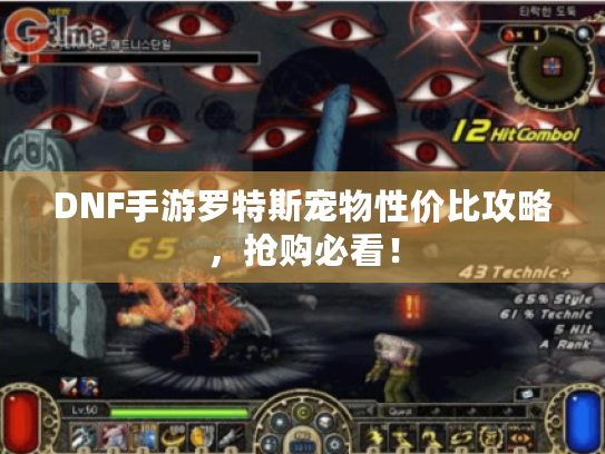 DNF手游罗特斯宠物性价比攻略，抢购必看！