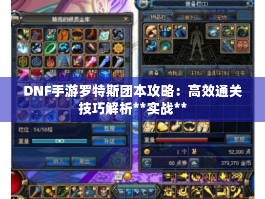 DNF手游罗特斯团本攻略：高效通关技巧解析**实战**