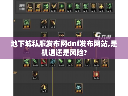 地下城私服发布网dnf发布网站,是机遇还是风险?