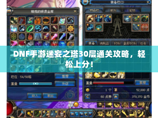 DNF手游迷妄之塔30层通关攻略，轻松上分！