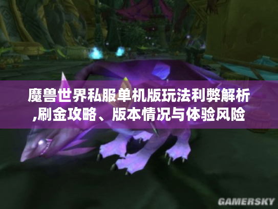 魔兽世界私服单机版玩法利弊解析,刷金攻略、版本情况与体验风险
