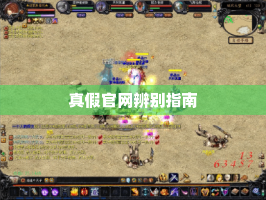 真假官网辨别指南