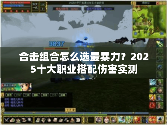合击组合怎么选最暴力？2025十大职业搭配伤害实测