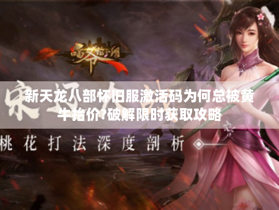 新天龙八部怀旧服激活码为何总被黄牛抬价?破解限时获取攻略
