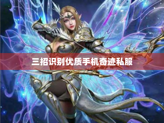 三招识别优质手机奇迹私服