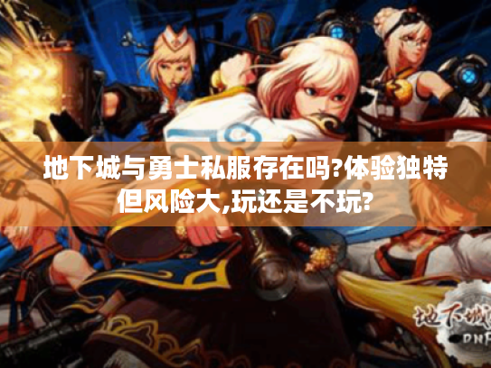 地下城与勇士私服存在吗?体验独特但风险大,玩还是不玩?