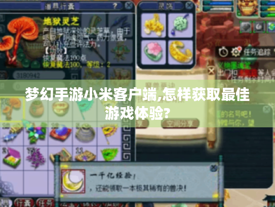 梦幻手游小米客户端,怎样获取最佳游戏体验?