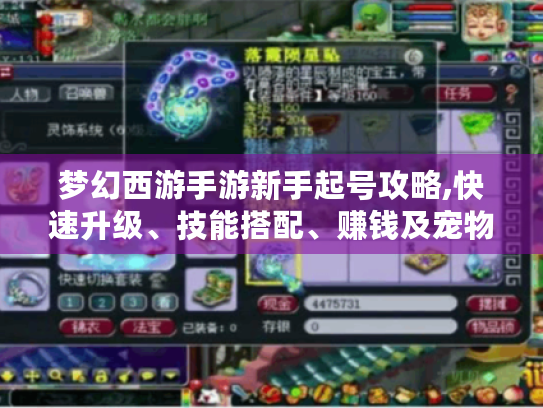 梦幻西游手游新手起号攻略,快速升级、技能搭配、赚钱及宠物装备攻略大揭秘
