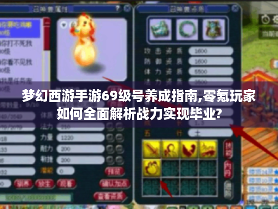 梦幻西游手游69级号养成指南,零氪玩家如何全面解析战力实现毕业? 梦幻西游手游69级号养成指南,零氪玩家如何全面解析战力实现毕业?