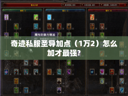 奇迹私服圣导加点（1万2）怎么加才最强?
