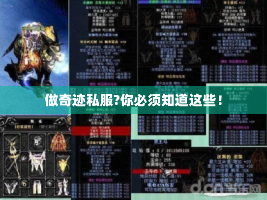 做奇迹私服?你必须知道这些！
