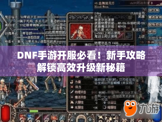 DNF手游开服必看！新手攻略解锁高效升级新秘籍