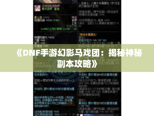 《DNF手游幻影马戏团：揭秘神秘副本攻略》