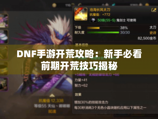 DNF手游开荒攻略：新手必看前期开荒技巧揭秘