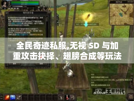 全民奇迹私服,无视 SD 与加重攻击抉择、翅膀合成等玩法攻略全揭秘