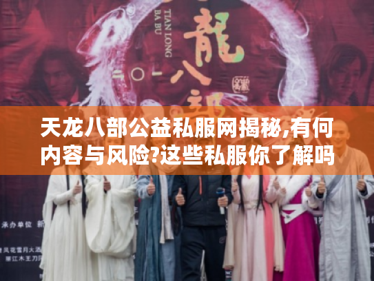 天龙八部公益私服网揭秘,有何内容与风险?这些私服你了解吗?