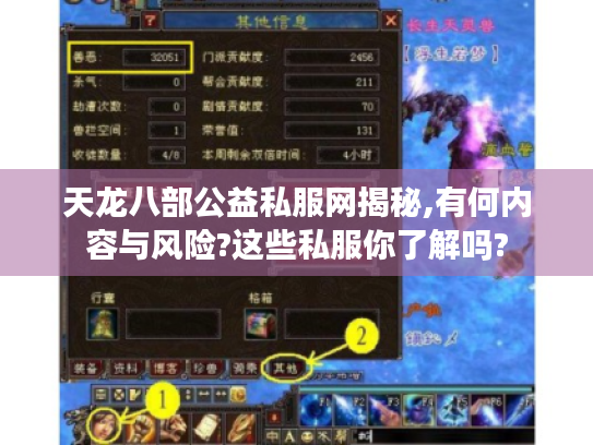 天龙八部公益私服网揭秘,有何内容与风险?这些私服你了解吗?