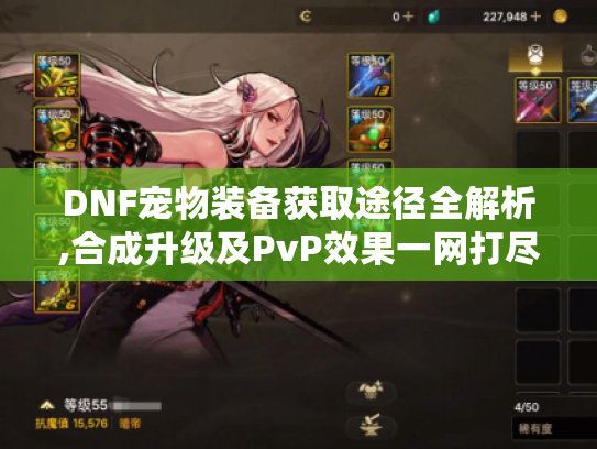 DNF宠物装备获取途径全解析,合成升级及PvP效果一网打尽! DNF宠物装备获取途径全解析,合成升级及PvP效果一网打尽!