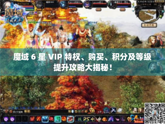 魔域 6 星 VIP 特权、购买、积分及等级提升攻略大揭秘！