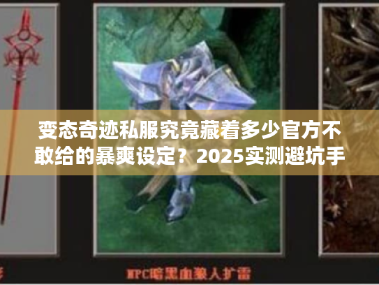 变态奇迹私服究竟藏着多少官方不敢给的暴爽设定?2025实测避坑手册 变态奇迹私服究竟藏着多少官方不敢给的暴爽设定?2025实测避坑手册