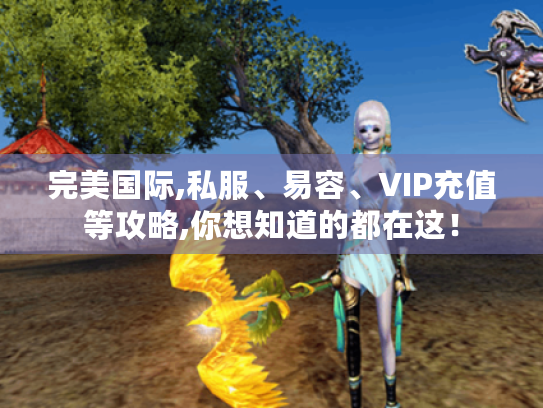 完美国际,私服、易容、VIP充值等攻略,你想知道的都在这！