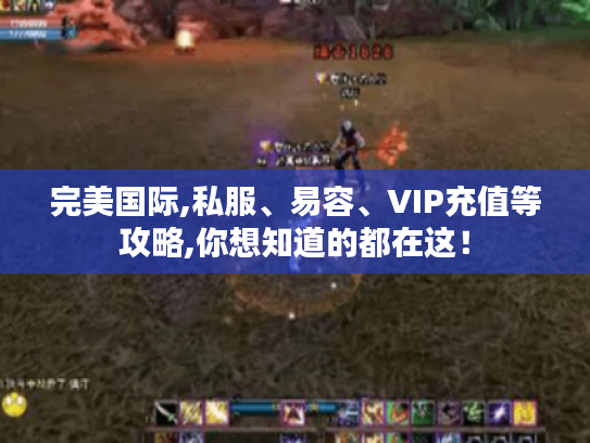 完美国际,私服、易容、VIP充值等攻略,你想知道的都在这！