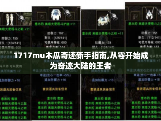 1717mu木瓜奇迹新手指南,从零开始成为奇迹大陆的王者