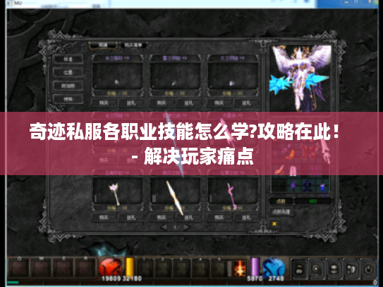 奇迹私服各职业技能怎么学?攻略在此！ - 解决玩家痛点