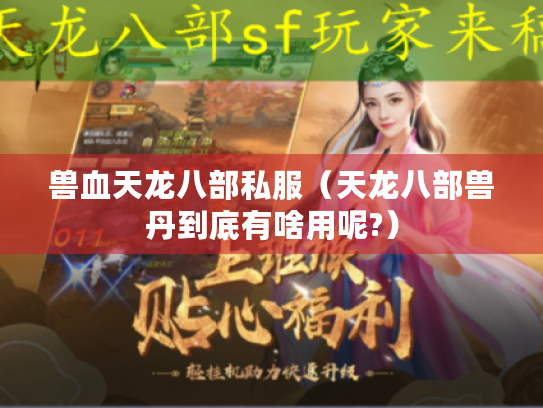 兽血天龙八部私服（天龙八部兽丹到底有啥用呢?）