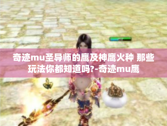 奇迹mu圣导师的鹰及神鹰火种 那些玩法你都知道吗?-奇迹mu鹰