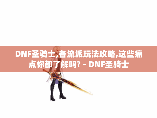 DNF圣骑士,各流派玩法攻略,这些痛点你都了解吗? - DNF圣骑士