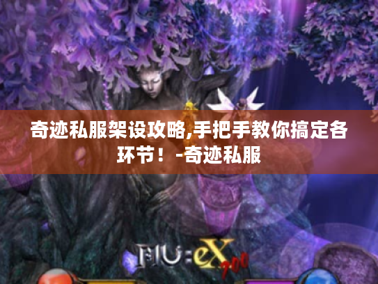 奇迹私服架设攻略,手把手教你搞定各环节！-奇迹私服