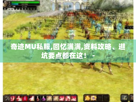 奇迹MU私服,回忆满满,资料攻略、避坑要点都在这! - 奇迹MU私服,回忆满满,资料攻略、避坑要点都在这! -