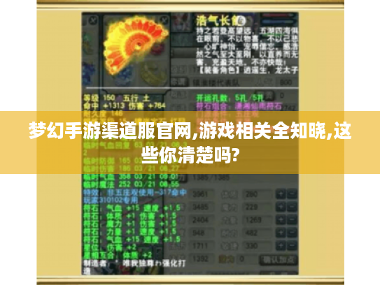 梦幻手游渠道服官网,游戏相关全知晓,这些你清楚吗?