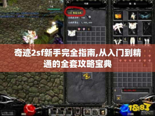 奇迹2sf新手完全指南,从入门到精通的全套攻略宝典 奇迹2sf新手完全指南,从入门到精通的全套攻略宝典