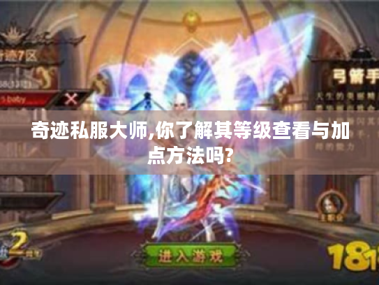奇迹私服大师,你了解其等级查看与加点方法吗?