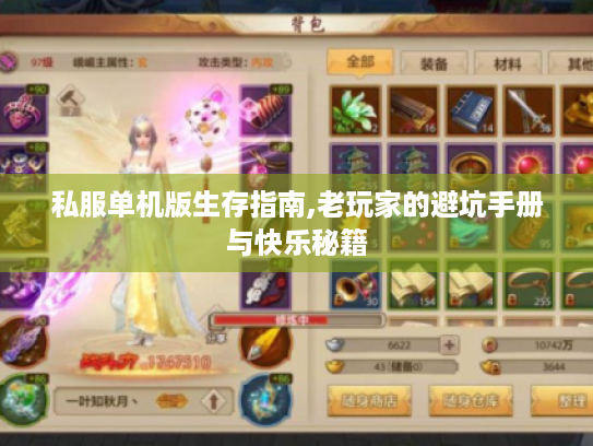 私服单机版生存指南,老玩家的避坑手册与快乐秘籍